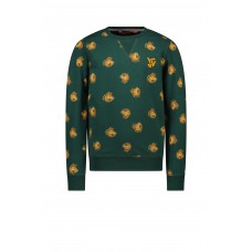 TYGO & vito Sweater all-overprint Jesse Dark green